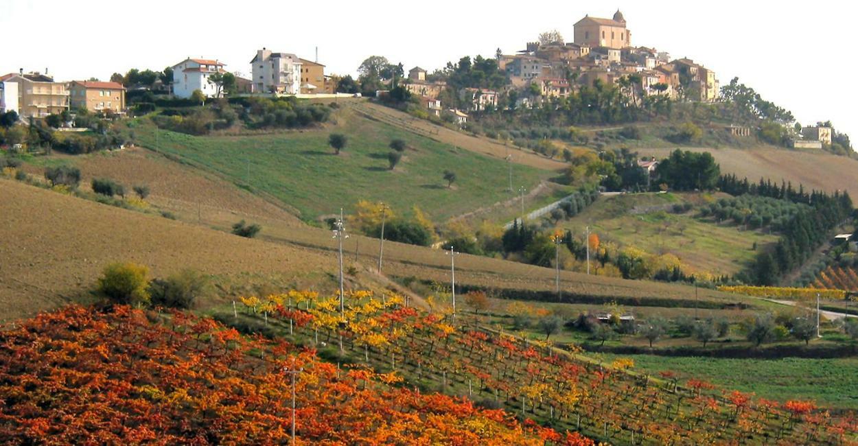 Gli Orti Di San Giacomo Bed and Breakfast Monteprandone Exteriör bild